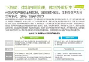 2019年中國教育信息化行業(yè)報(bào)告 信息技術(shù)咨詢服務(wù)